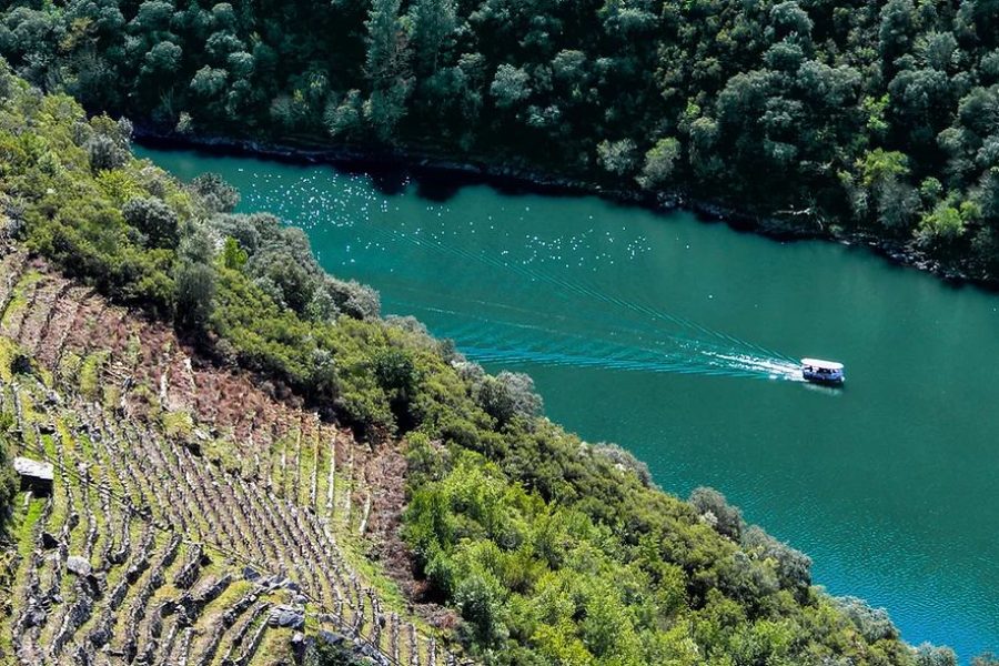 catamaran-cañon-sil-brandan